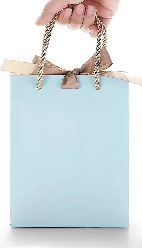 jewelry bag